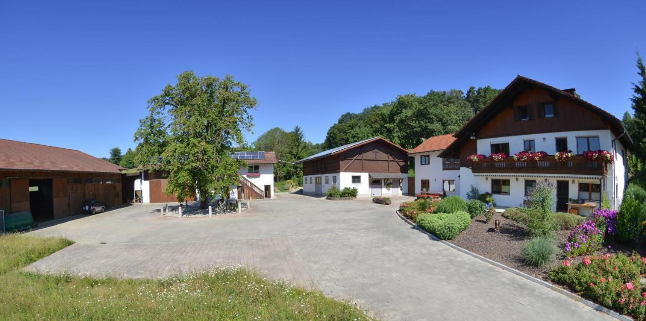 Gaestehaus Wildgehege Wilhelm Kültér fotó