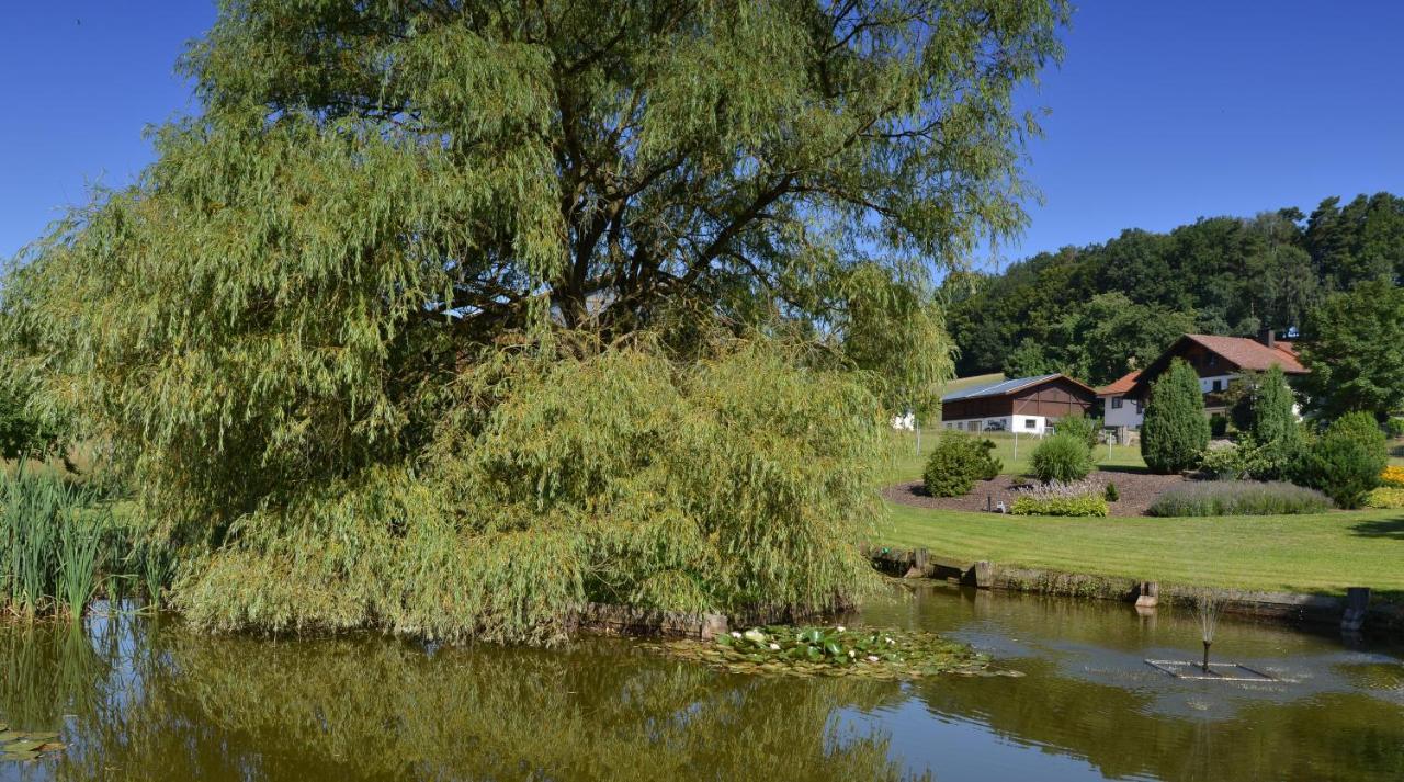 Gaestehaus Wildgehege Wilhelm Kültér fotó