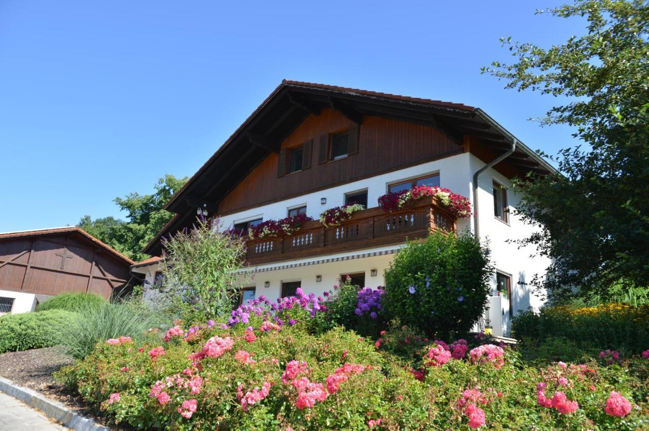 Gaestehaus Wildgehege Wilhelm Kültér fotó