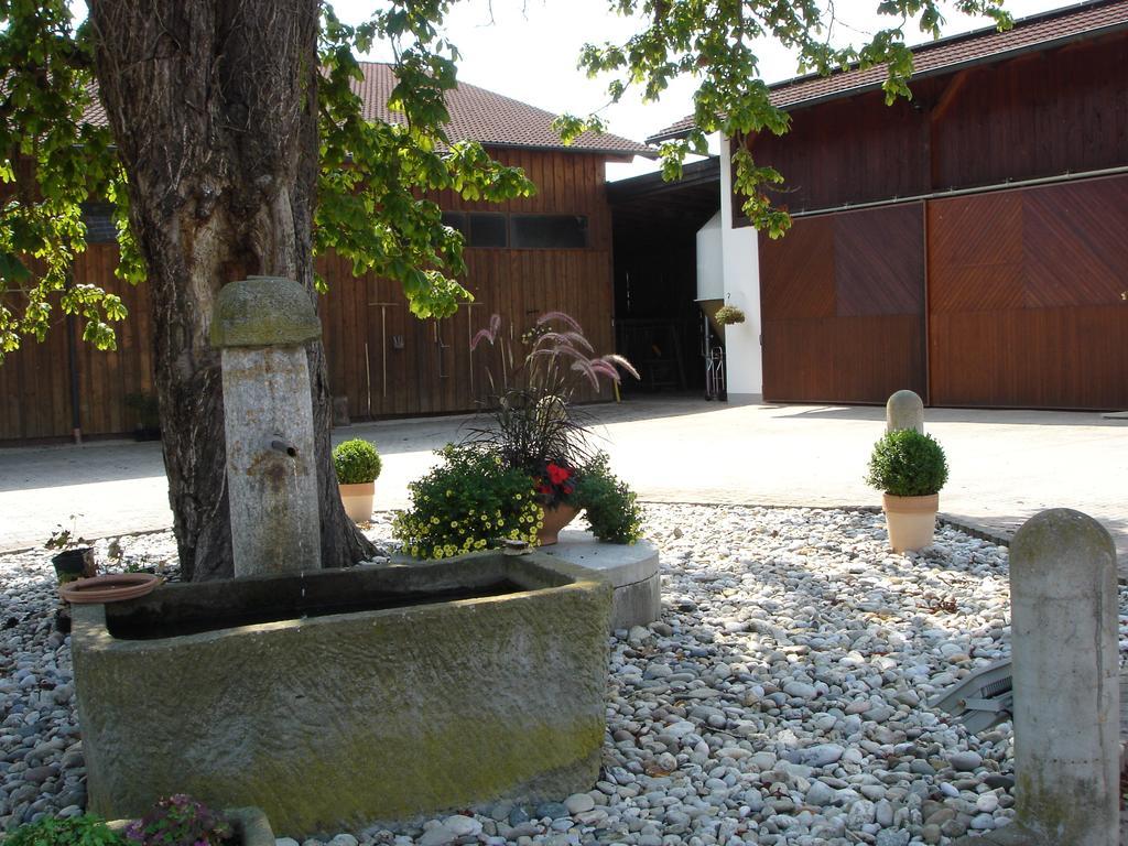 Gaestehaus Wildgehege Wilhelm Kültér fotó